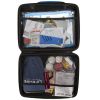 AAA Severe Weather Road Kit, 65-Piece Emergency Car Kit
