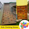 Rock Climbing Holds With Screws;