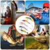 Luminous Sharp Lures