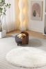 Scandinavian style Elevated Dog Bed Pet Sofa With Solid Wood legs