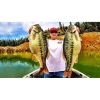 Blue Flake Soft Bait Lure