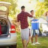24L Portable Car traveling Cooler