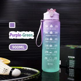 Motivational Water Bottle (Color: Purple-Green)