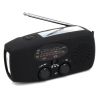 Multifunctional Hand Radio